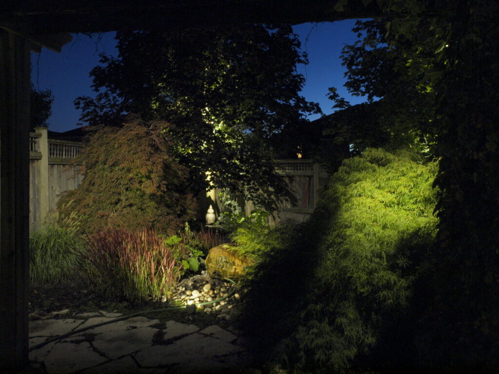 A garden is lit up at night with outdoor lighting.