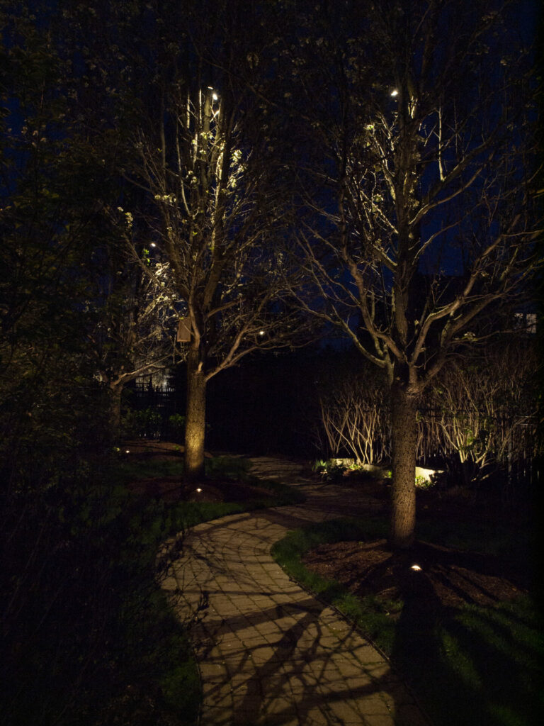 A pathway lit up at night with trees in the background.