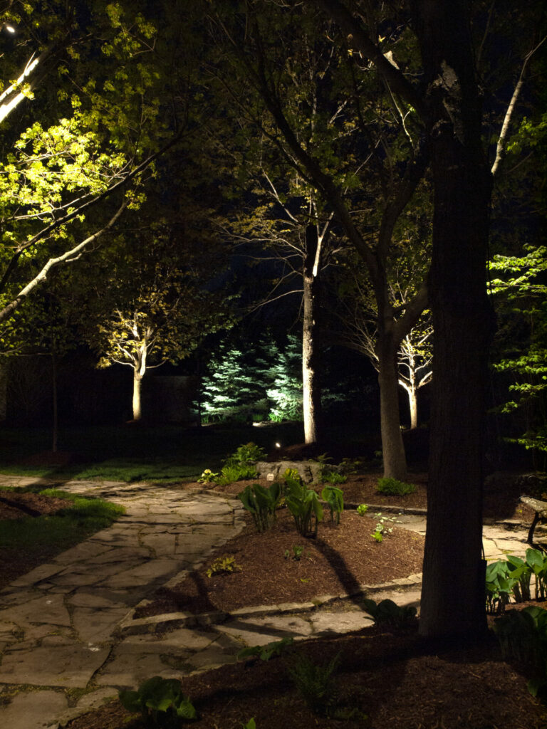 A pathway lit up at night.