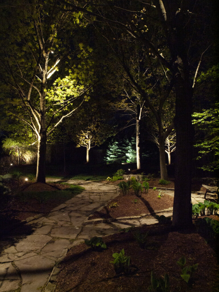 A pathway lit up at night with trees in the background.