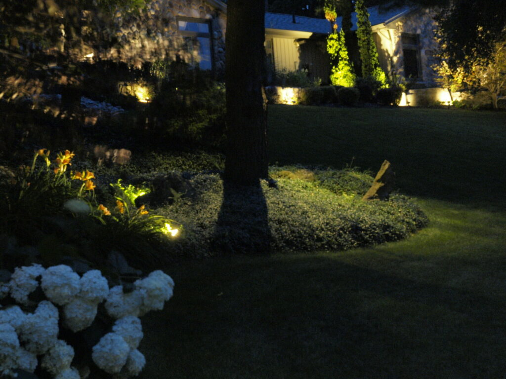 A tree in the middle of the yard with outdoor lighting.