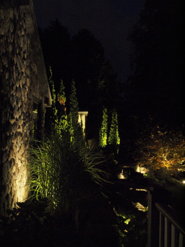 A house's garden is lit up at night.