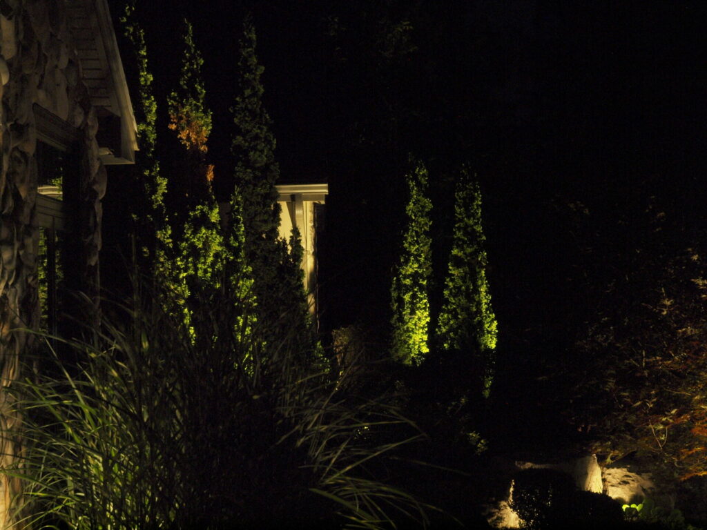A house garden is lit up at night.