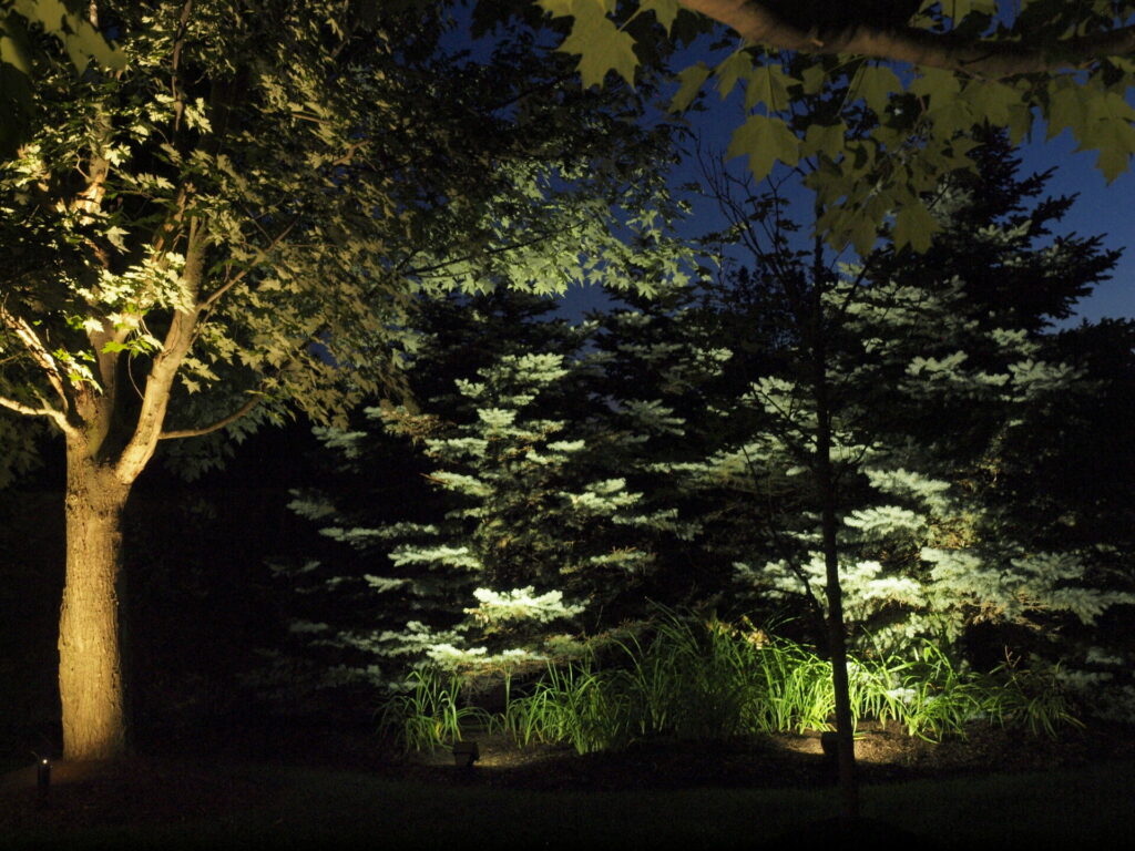 Landscape lighting at night with trees and shrubs.