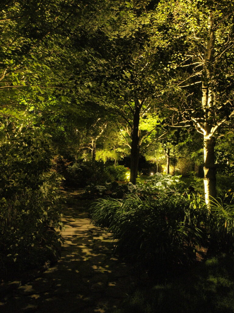 A path lit up at night in a wooded area.