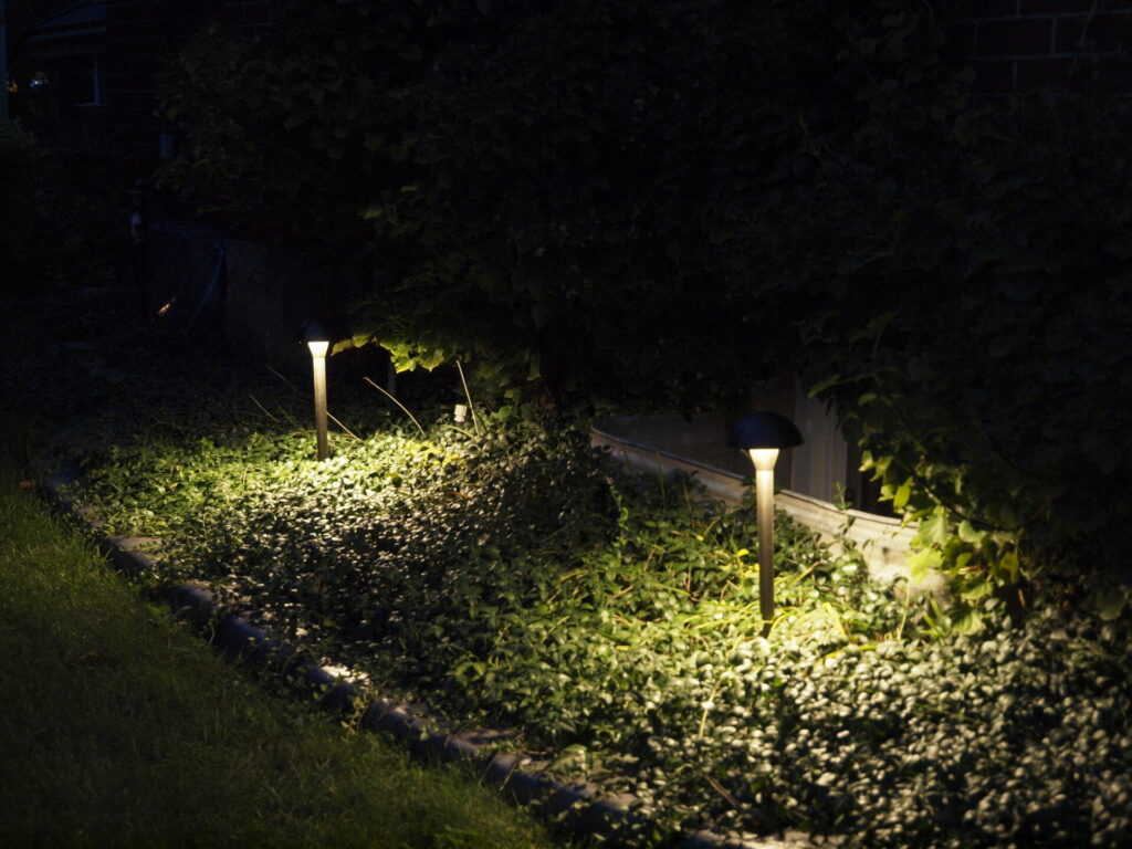 A light is shining on a grassy area with vines.