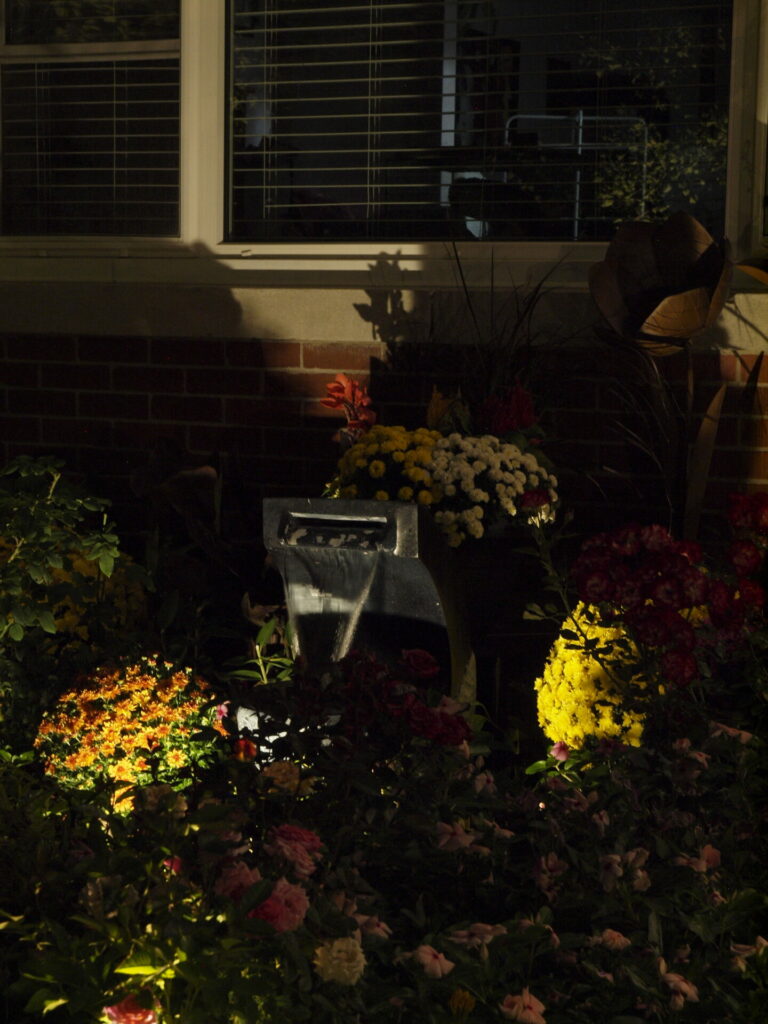 A window in the front yard lit up by outdoor lighting at night.