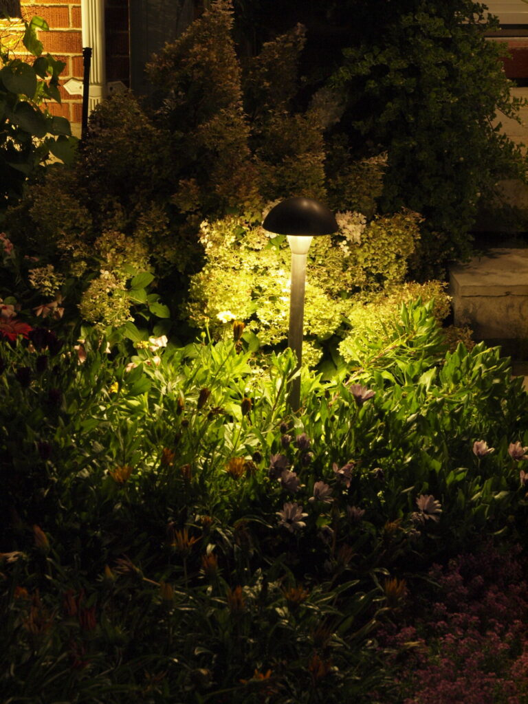 A garden at night with a light shining on it.