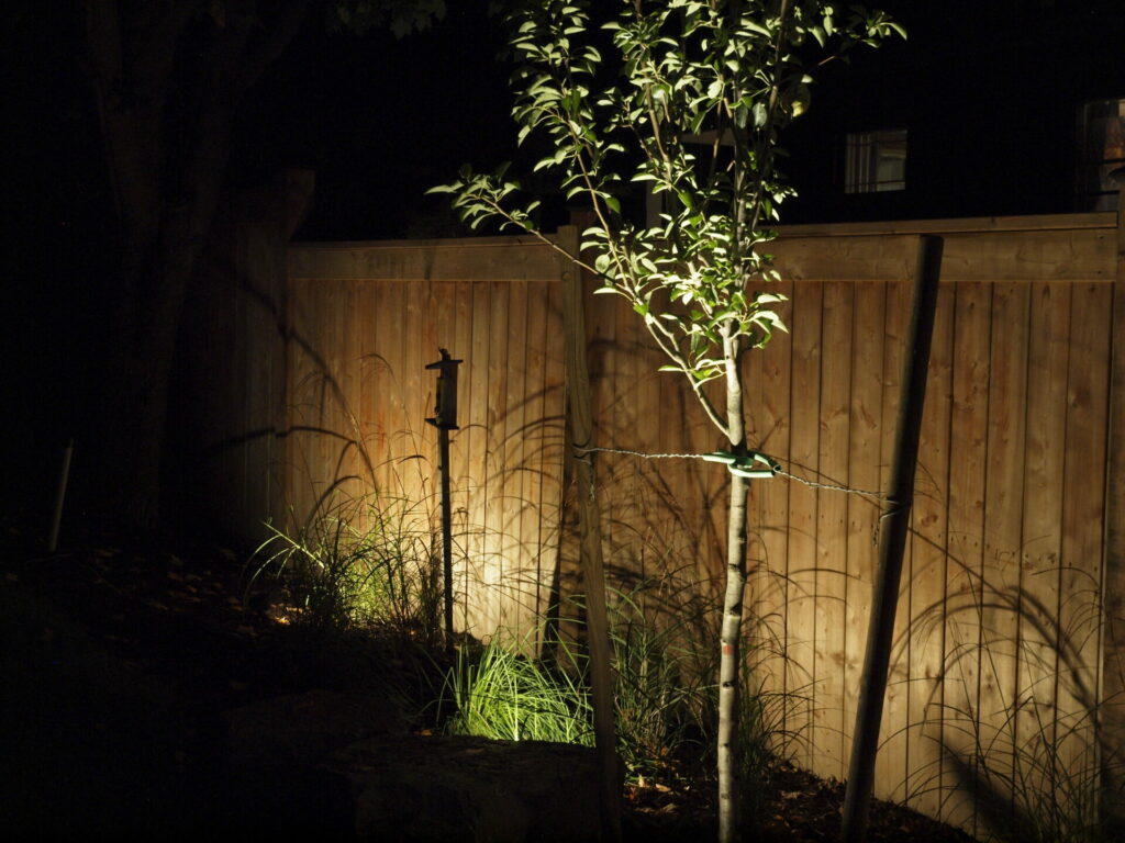 A tree is lit up at night in front of a fence.