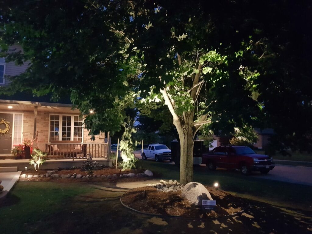 A home is lit up at night with a tree in the front yard.