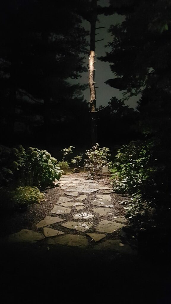 A stone path is lit up at night in a wooded area.