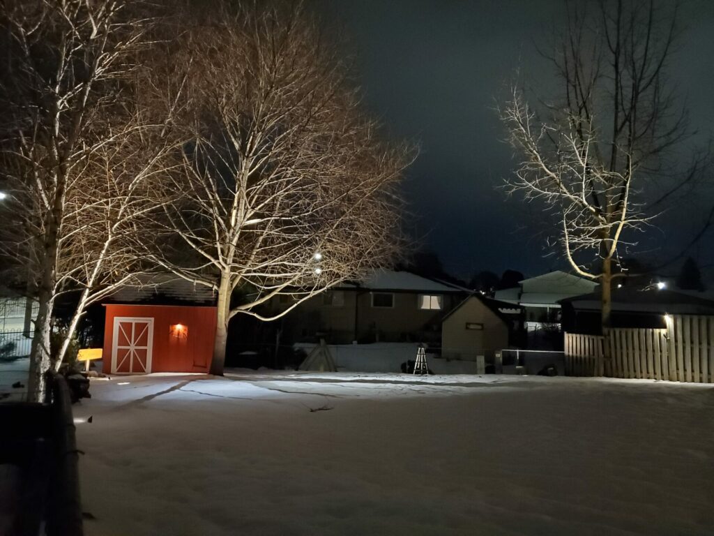 A snowy yard with a red shed and trees lit up at night.