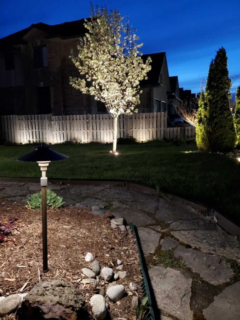 Landscape lighting at night in a yard.