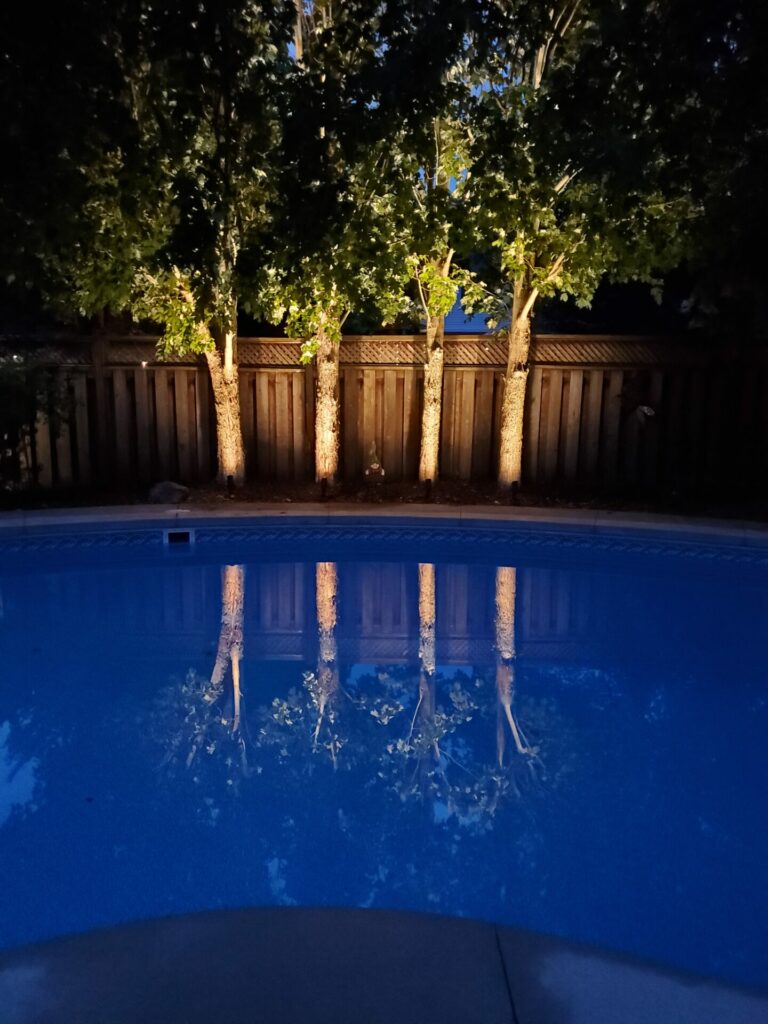 A swimming pool with four trees lit up at night.