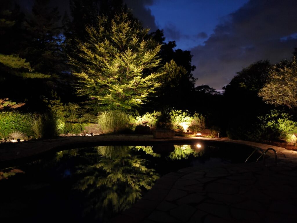 A swimming pool surrounded by trees and shurbs lit up at night.