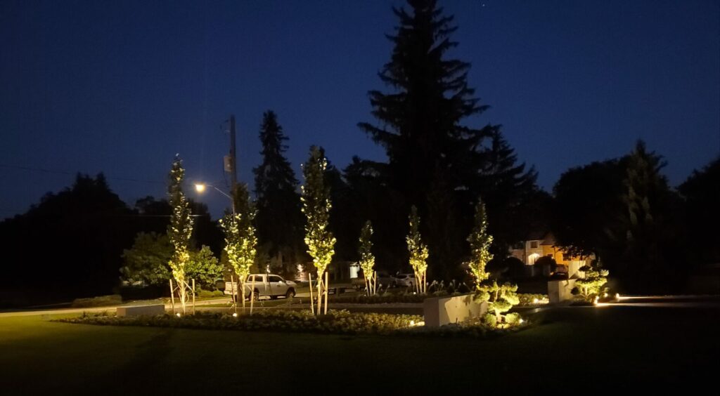 A garden at night with lighted trees and shrubs with a white pickup truck in the background.