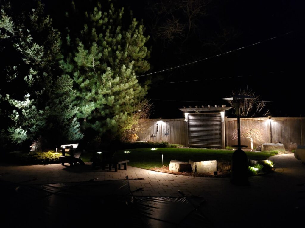 A backyard lit up at night with trees and shrubs.