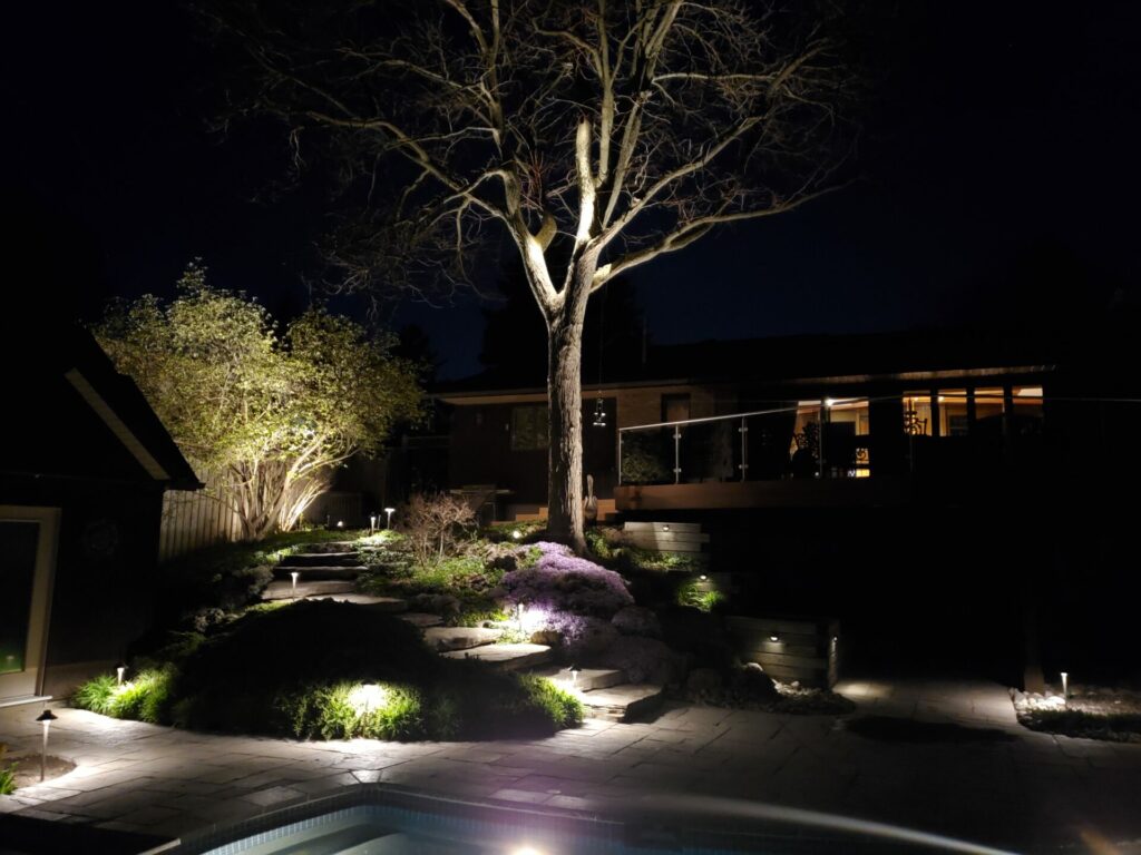 Landscape lighting at night with a tree and a pool.
