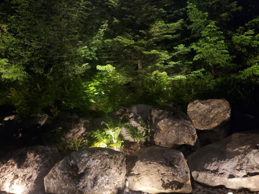 Large rocks in the middle of a wooded area lit up at night.