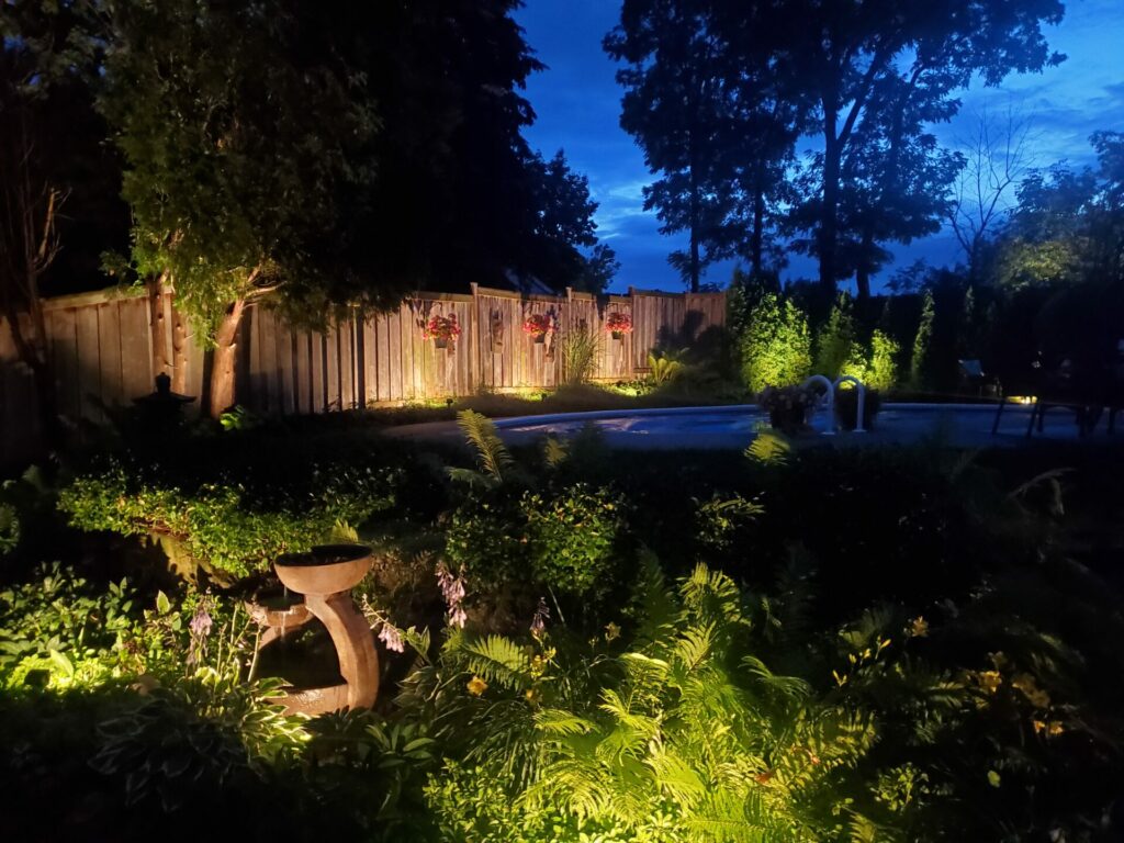 A fence and plants at night with a pool in the background.
