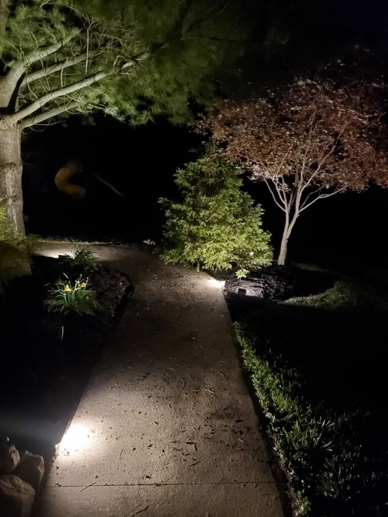 A pathway lit up at night with a tree in the background.