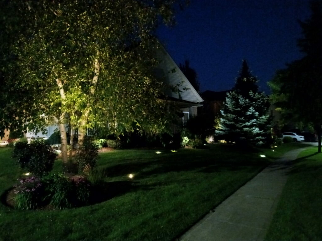Landscape lighting at night in a residential yard.