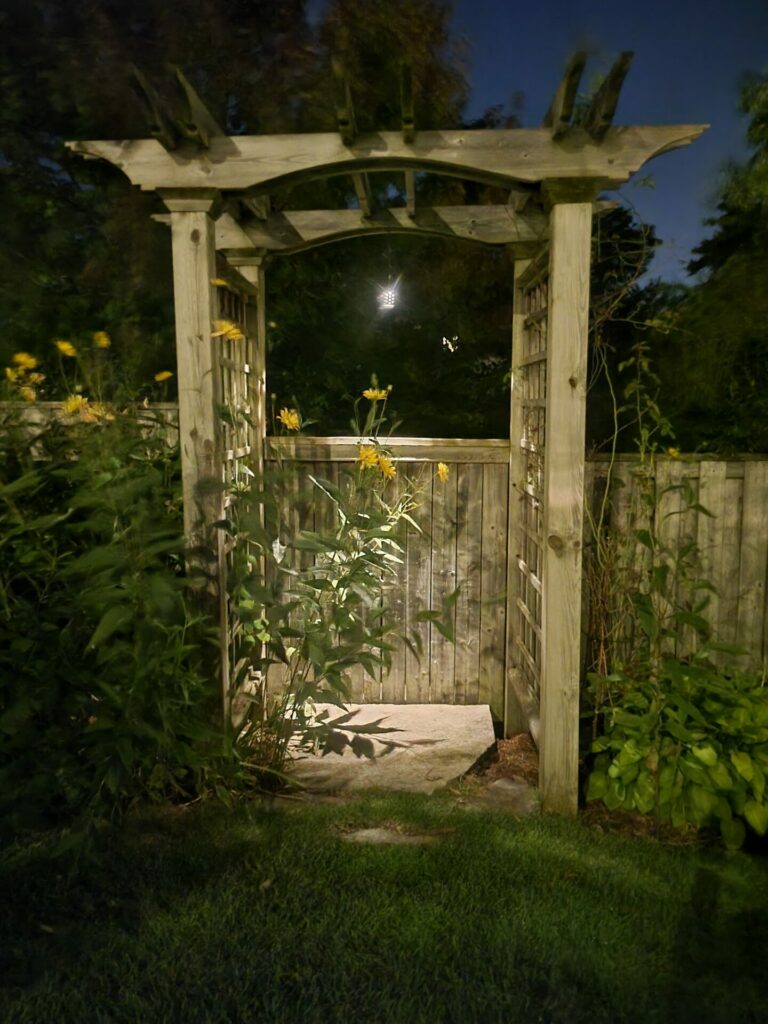 A wooden pergola and yellow flowers in a yard at night.