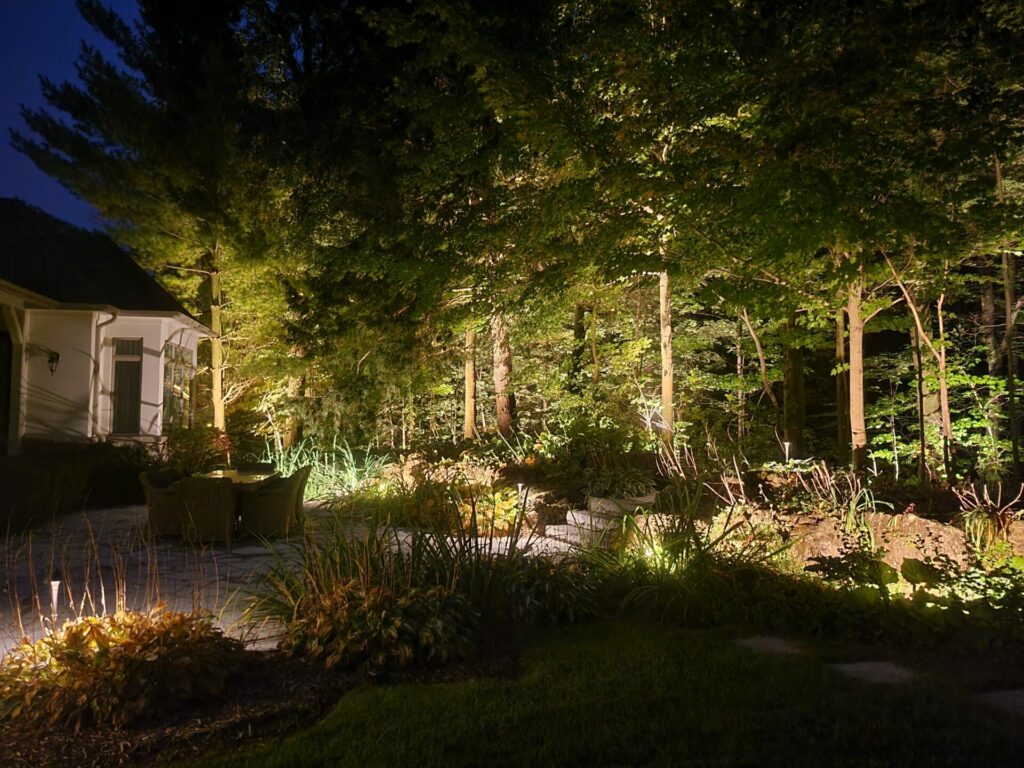 Landscape lighting at night in a backyard.