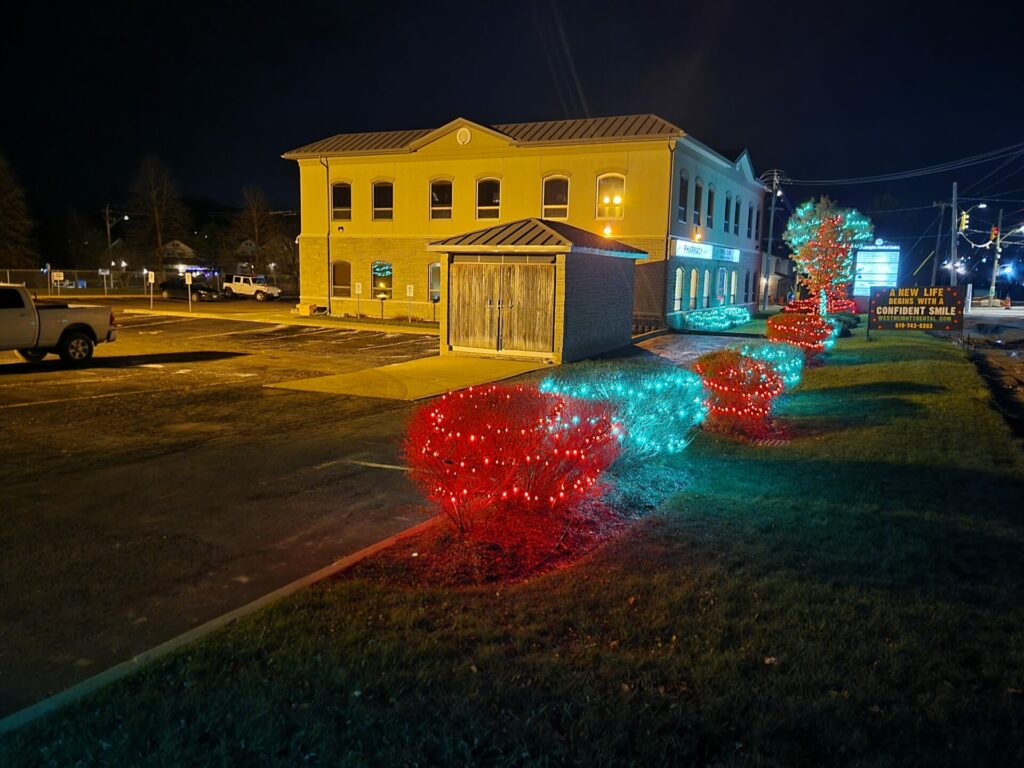 Christmas lights in front of a building.