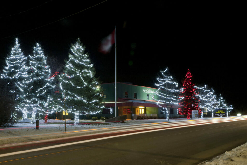 A street is lit up with Christmas trees.