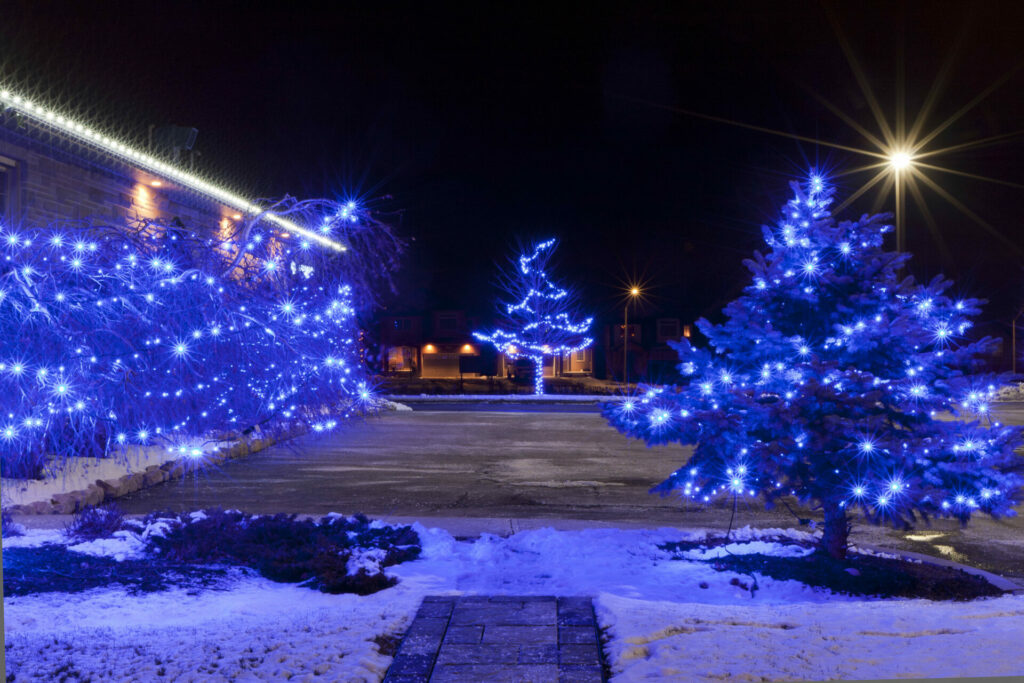 Blue coloured lights on trees at night.