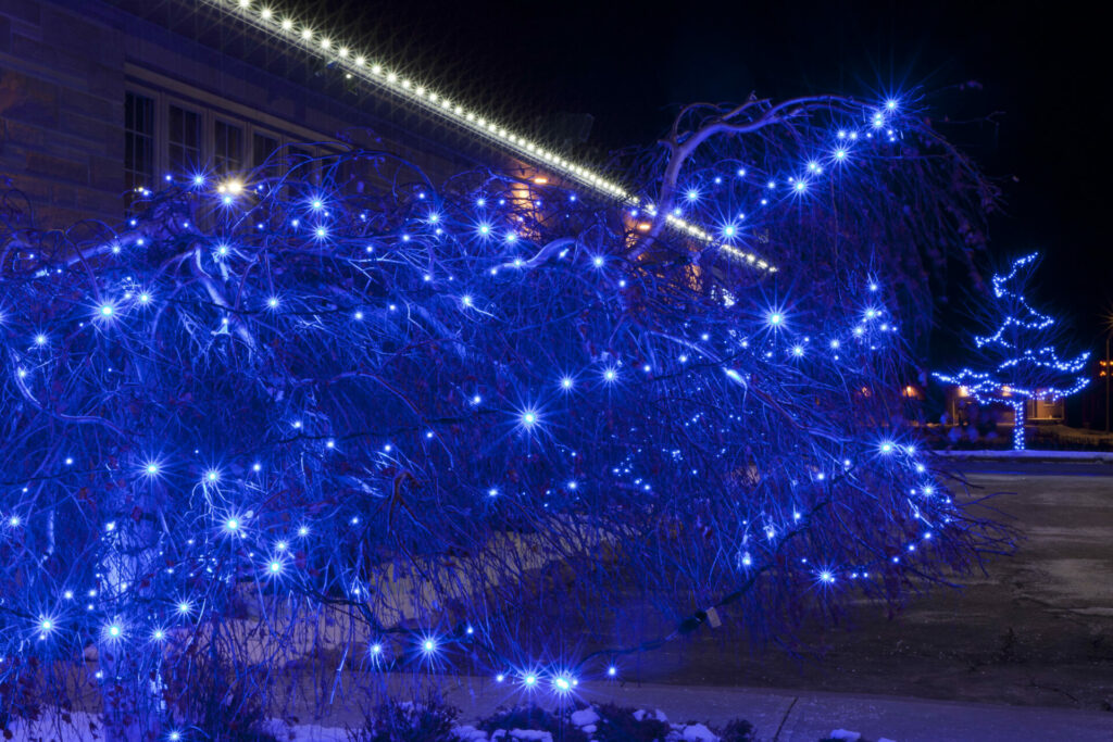 A tree with blue lights in front of a building.