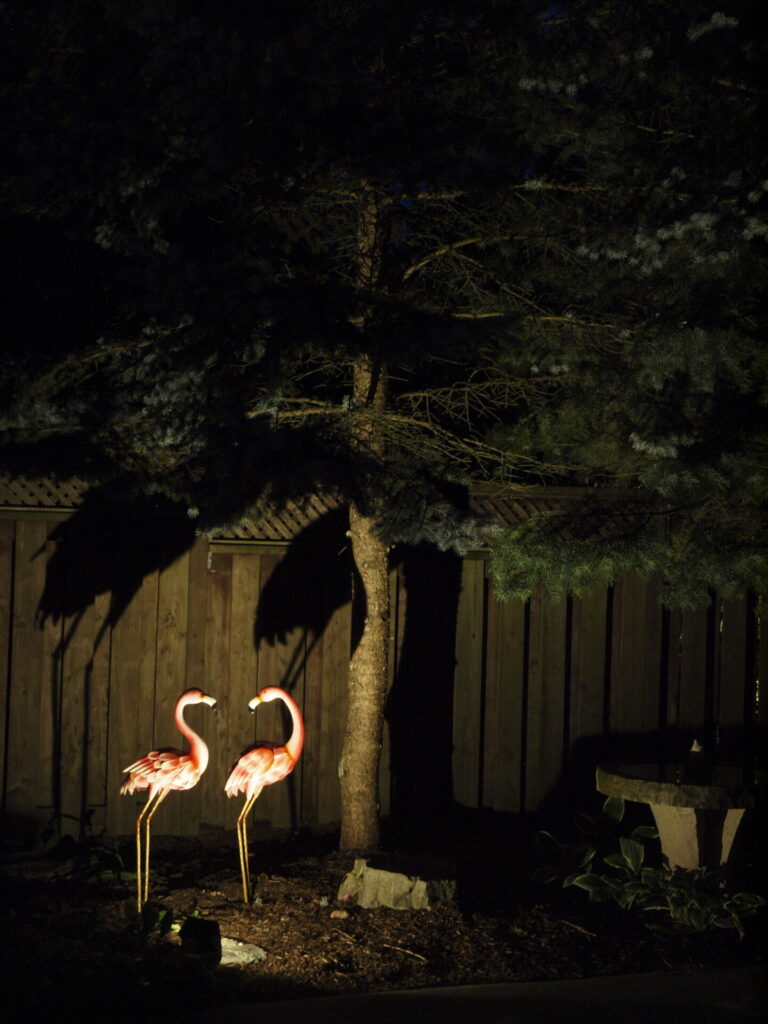 Two flamingo decorations standing next to a tree at night.