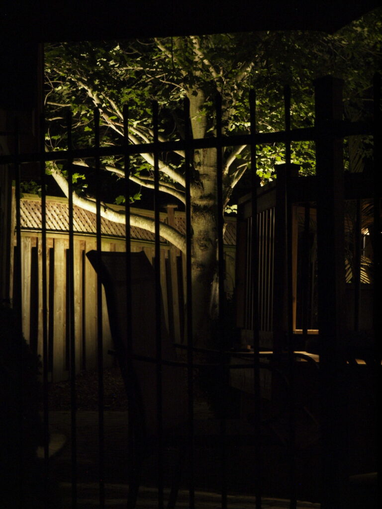 A metal fence with a tree in the background at night.