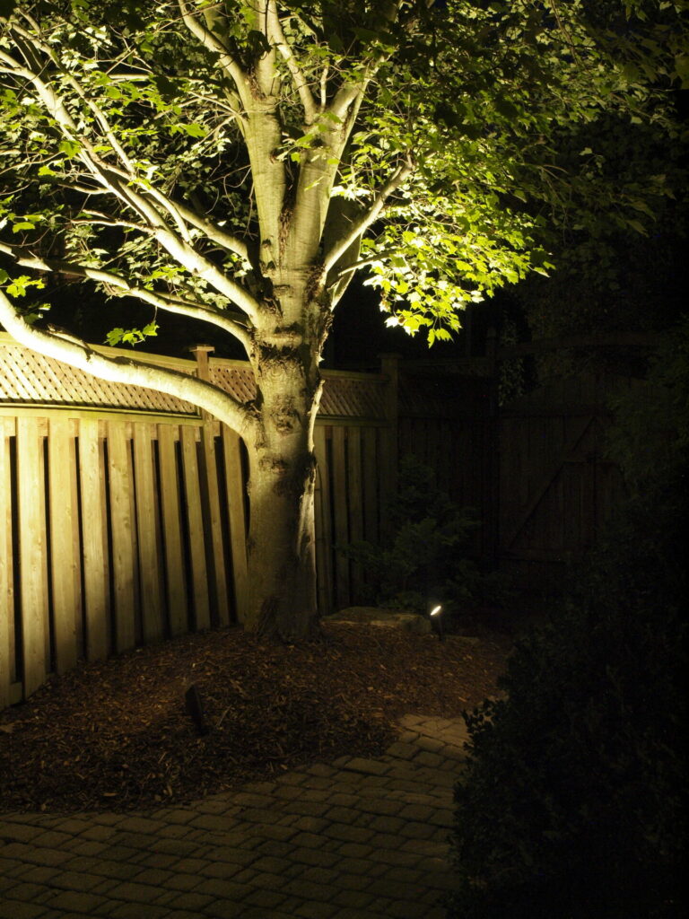 A tree lit up at night in front of a fence.
