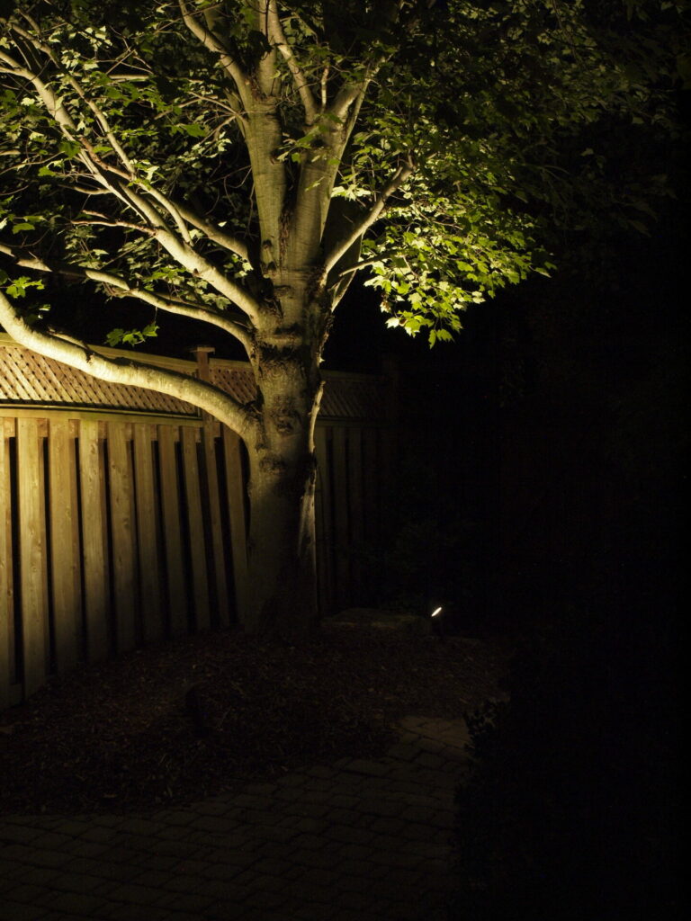 A tree lit up at night in front of a fence.