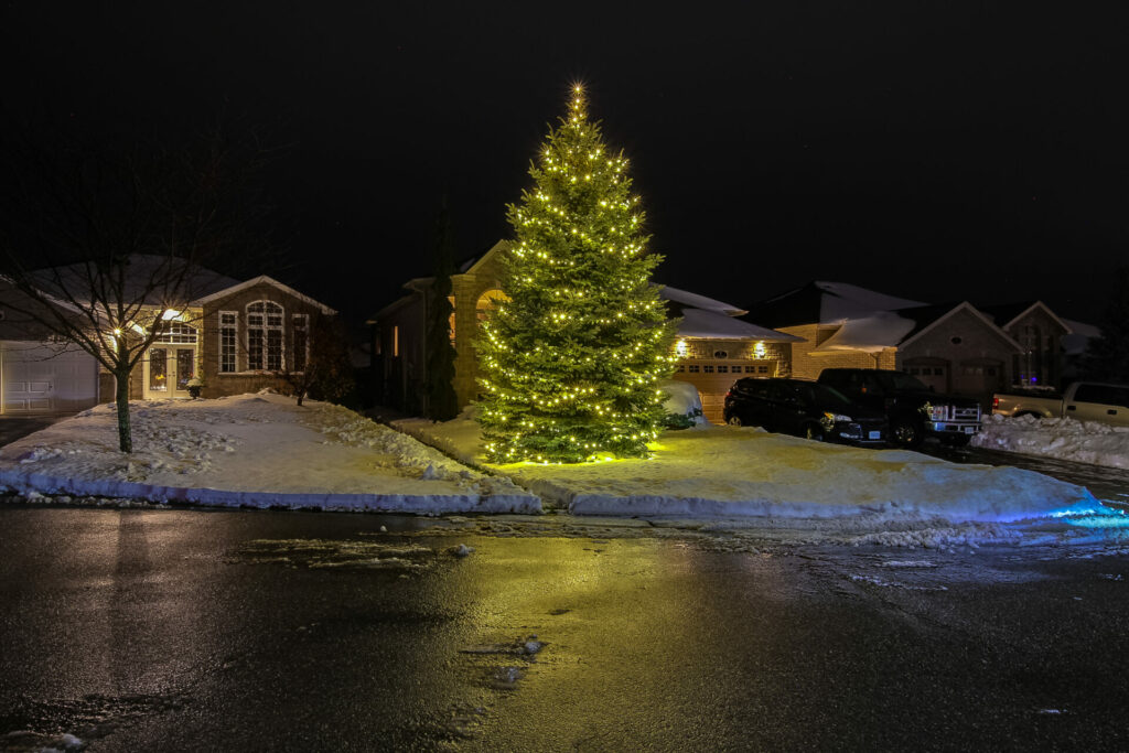 A big Christmas tree in the middle of a snowy street.