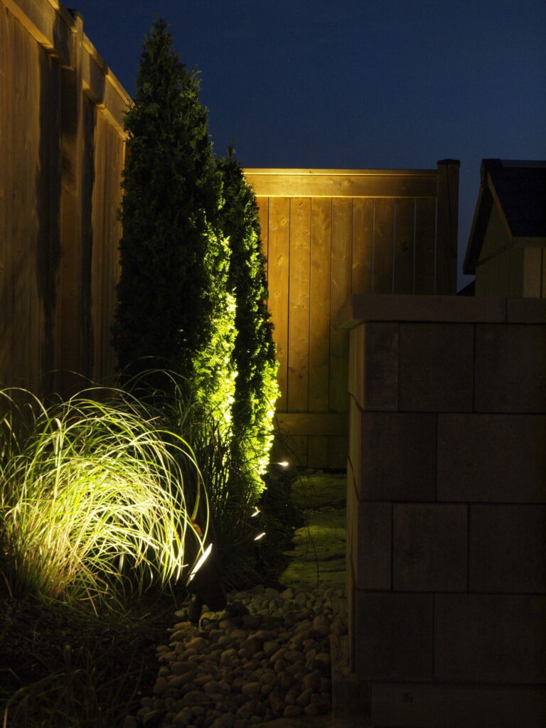 A fence with trees and lights at night.