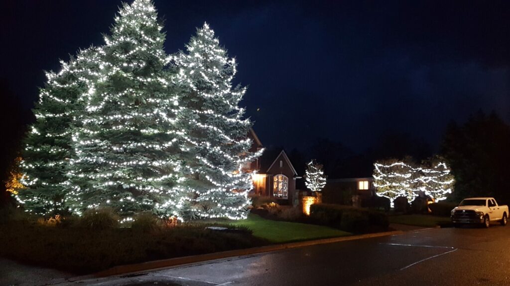 Christmas lights on trees in front of a house.