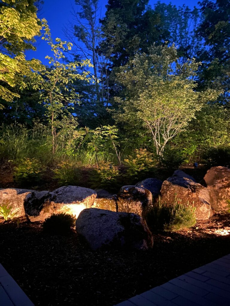 Landscape lighting at night with rocks and trees.