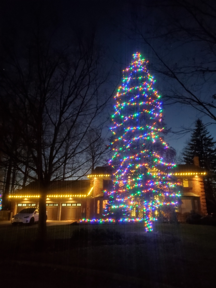 A tree with brightly coloured Christmas lights outside with a large house in the background.