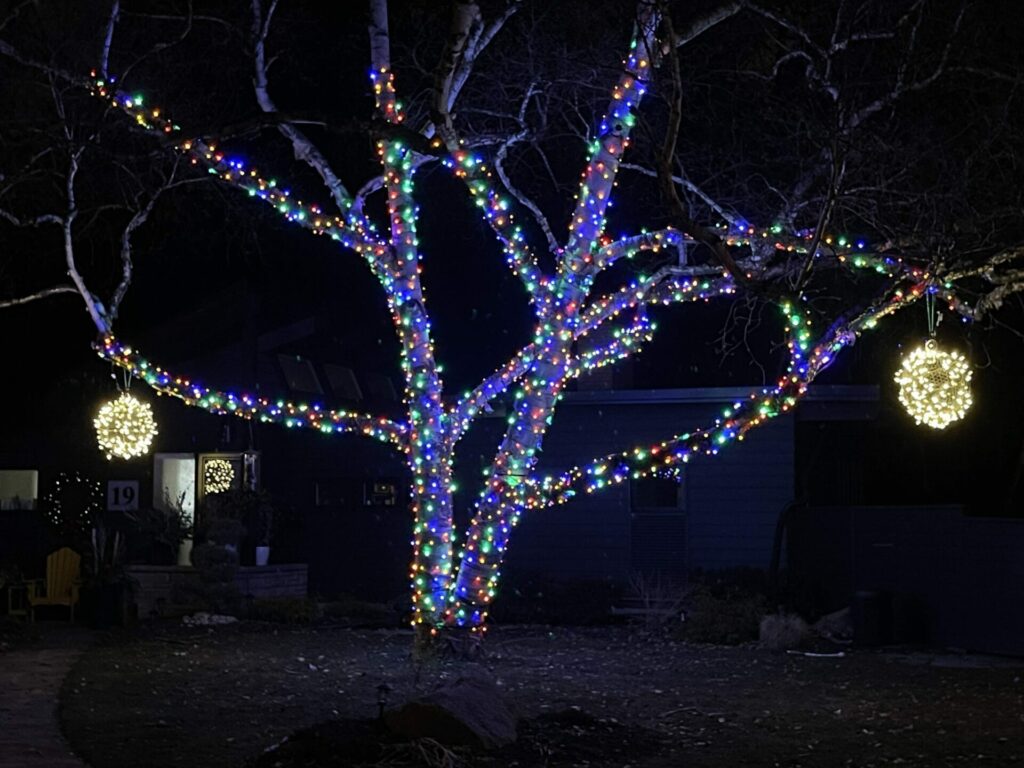 A tree is lit up with Christmas lights.