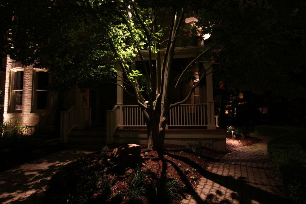 A tree is lit up at night in front of a house.