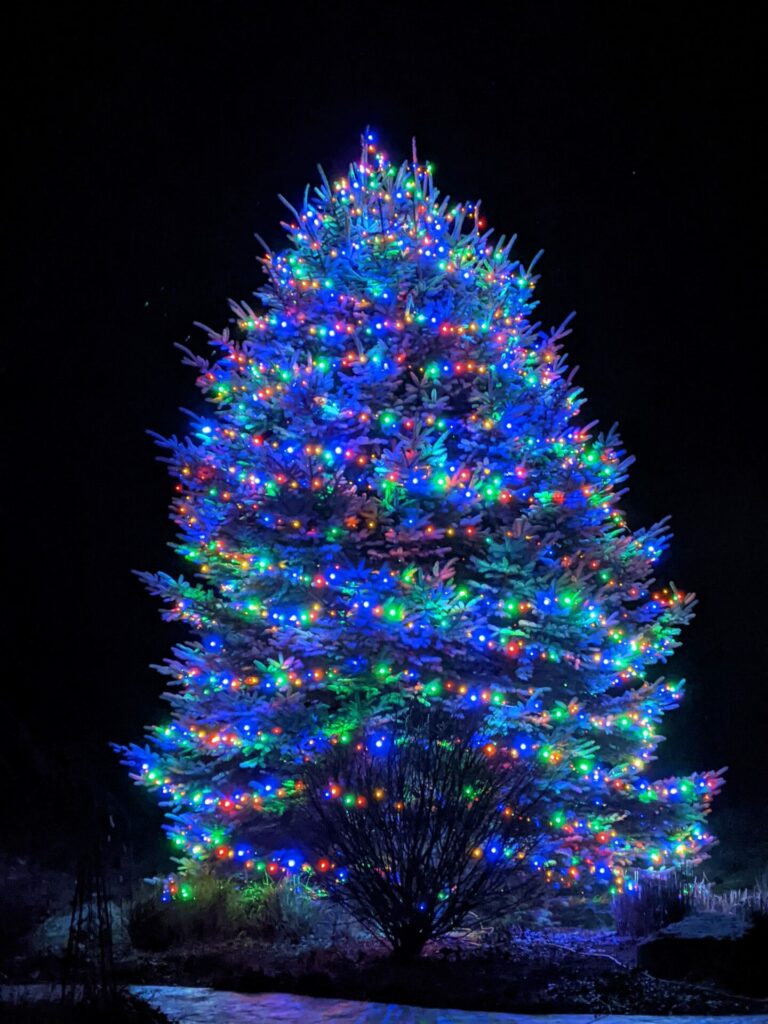 A tree with brightly coloured Christmas lights outside.