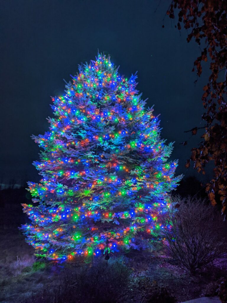 A tree with brightly coloured Christmas lights outside.