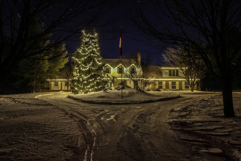 A house is lit up at night with a Christmas tree and a circular driveway.