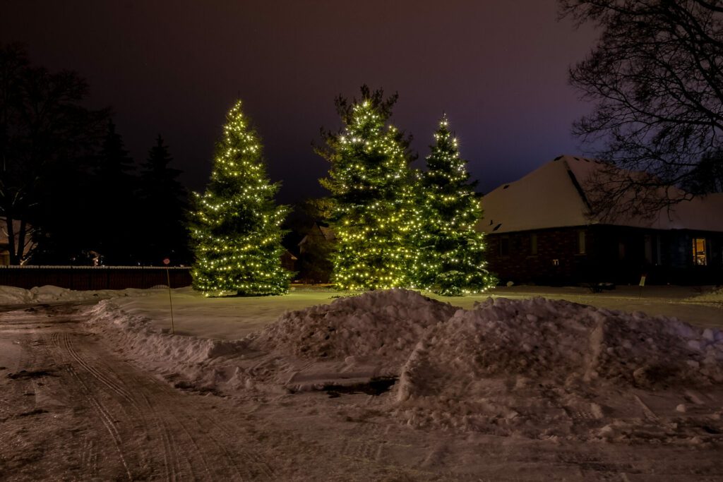 Three Christmas trees in the snow in front of a house.