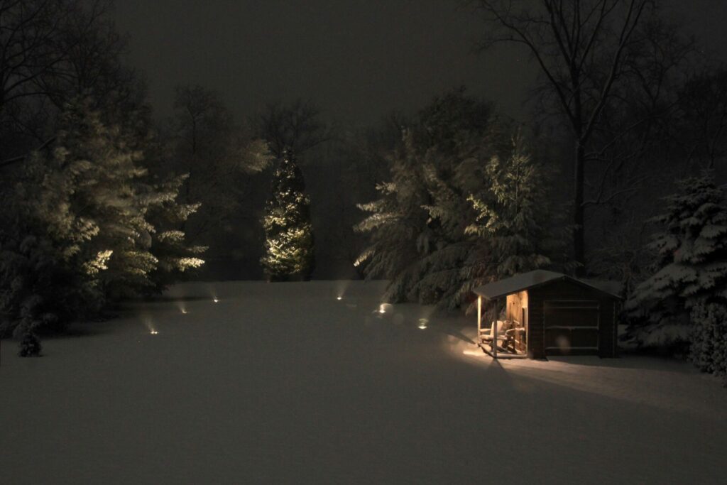 A snow covered yard with a shed and trees lit up with outdoor lighting.