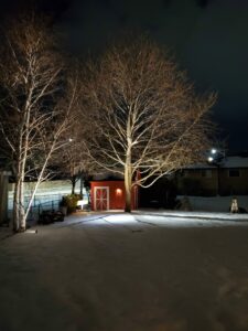 A red shed in a snowy yard at night.