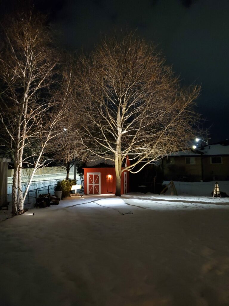 A red shed in a snowy yard at night.